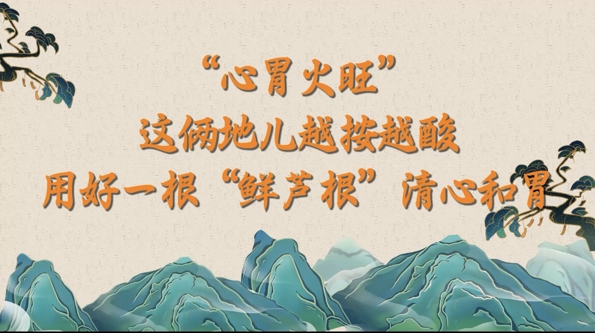 “心胃火旺”--这俩地儿越按越酸？用好一根“鲜芦根”清心和胃！