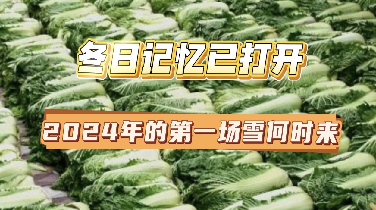 冬日记忆已打开 2024年的第一场雪何时来？