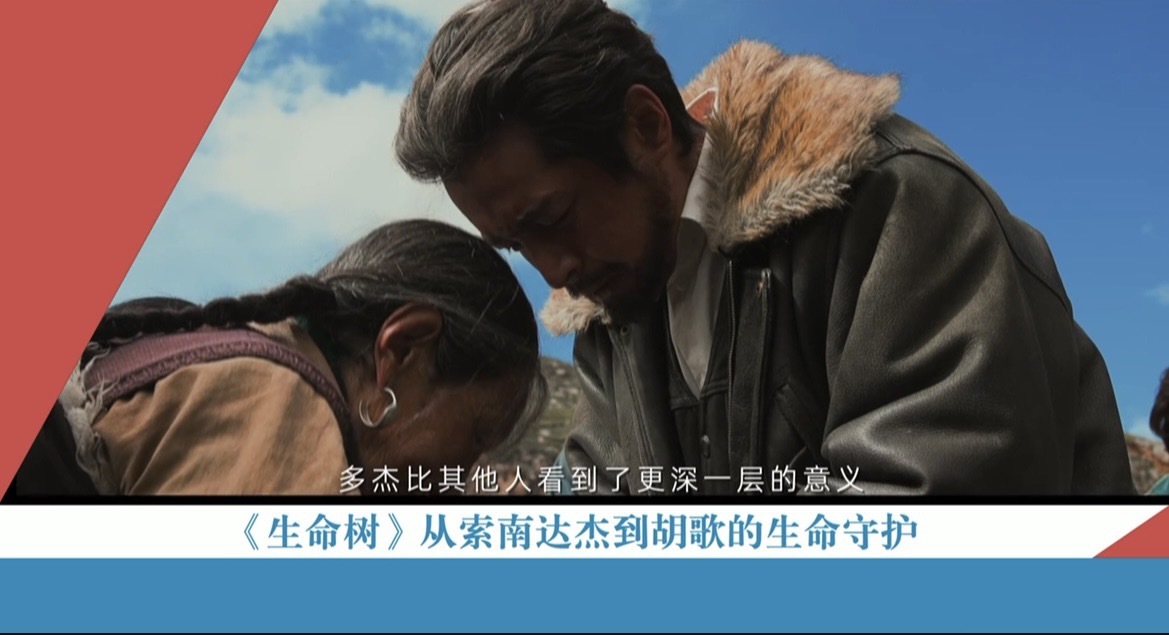 《生命树》从索南达杰到胡歌的生命守护