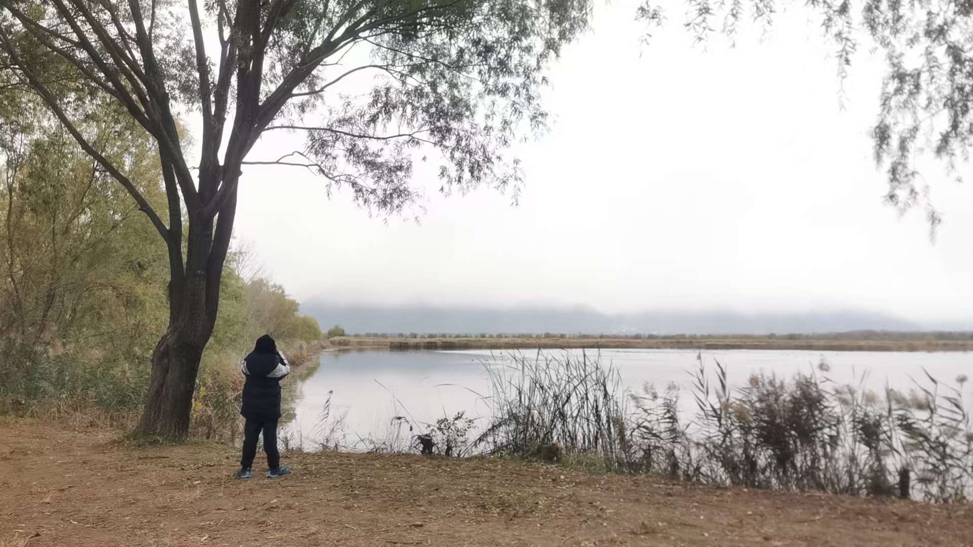 最高气温11℃ 寒潮大风双蓝色预警 山区有雨夹雪