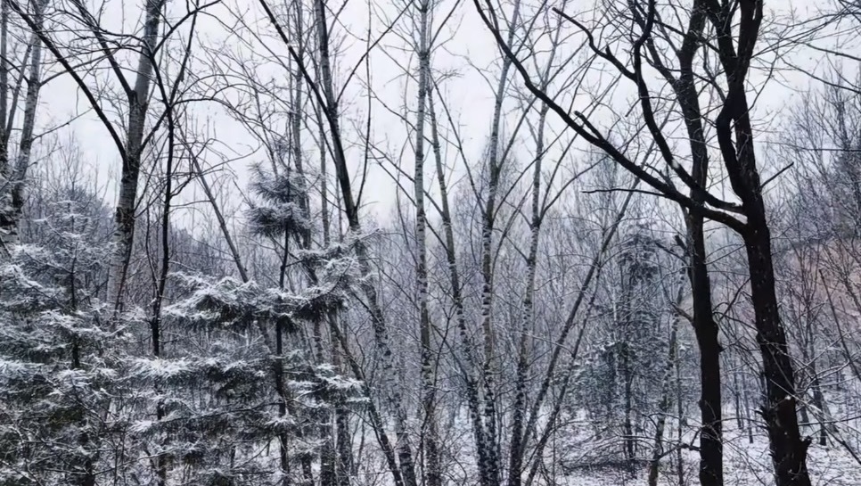 今明两天北京迎雨雪天气，这里最大，具体时段——