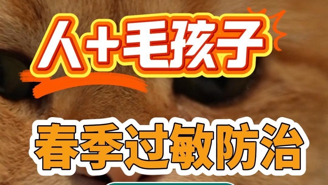 春季过敏防治指南(人+咪版) 春季过敏防治指南(人+咪版)