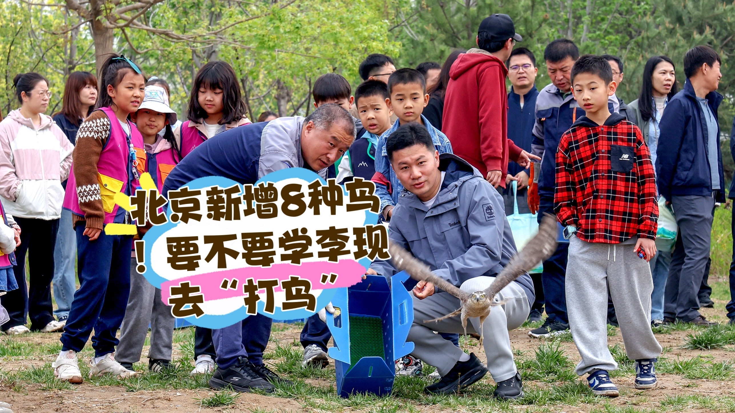 北京新增8种鸟！要不要学李现去“打鸟”