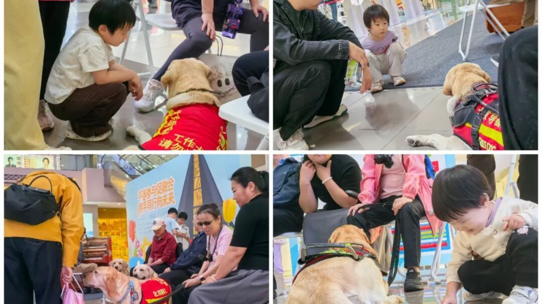 市无障碍中心举办国际盲人节宣传活动 市无障碍中心举办国际盲人节宣传活动
