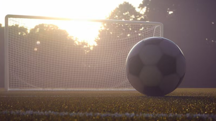 整治足球“假赌黑” 13家俱乐部被罚 陈戌源李铁等73人被终身禁“足” 整治足球“假赌黑” 13家俱乐部被罚 陈戌源李铁等73人被终身禁“足”