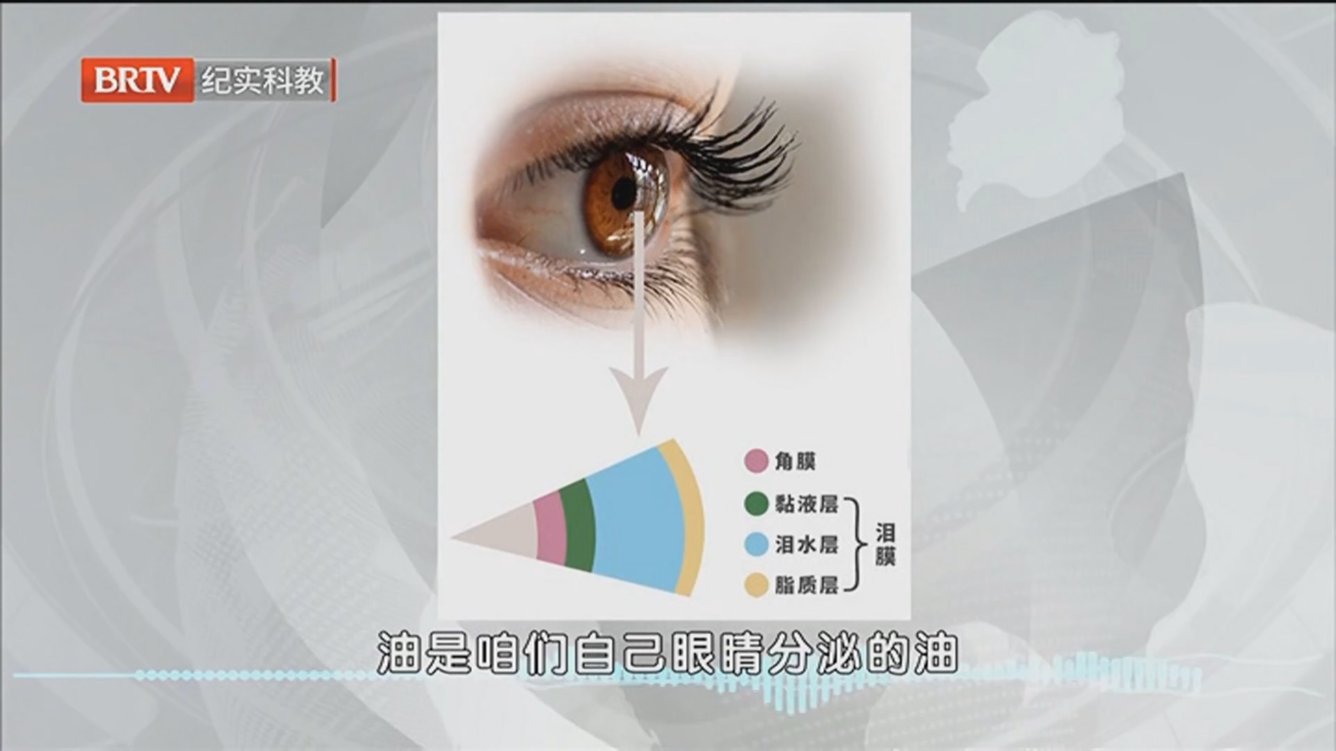 《职场健康说》20260625眼睛的小“干”扰——解码干眼症