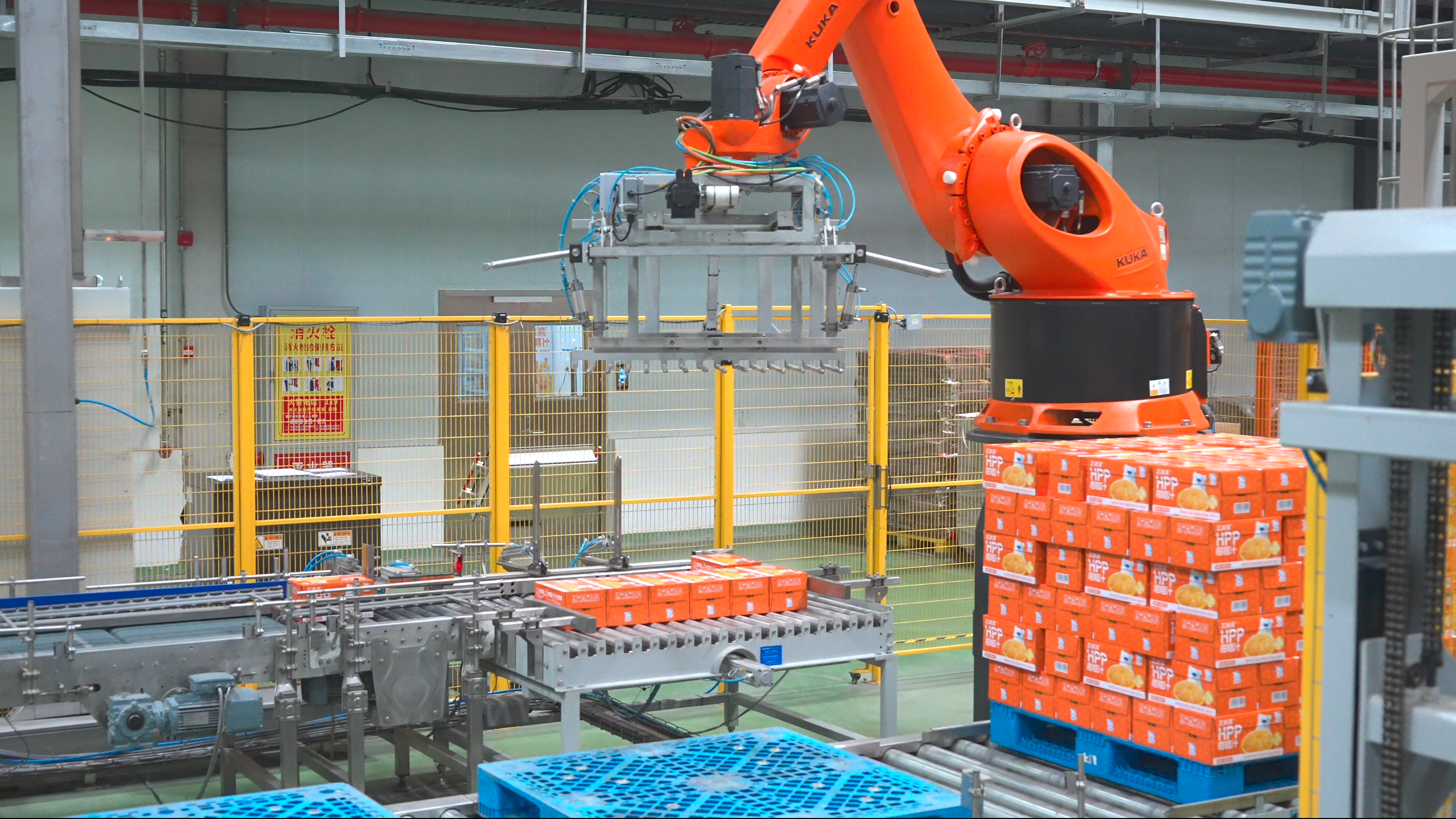 “桔”缘千里：一颗蜜桔的北上新生