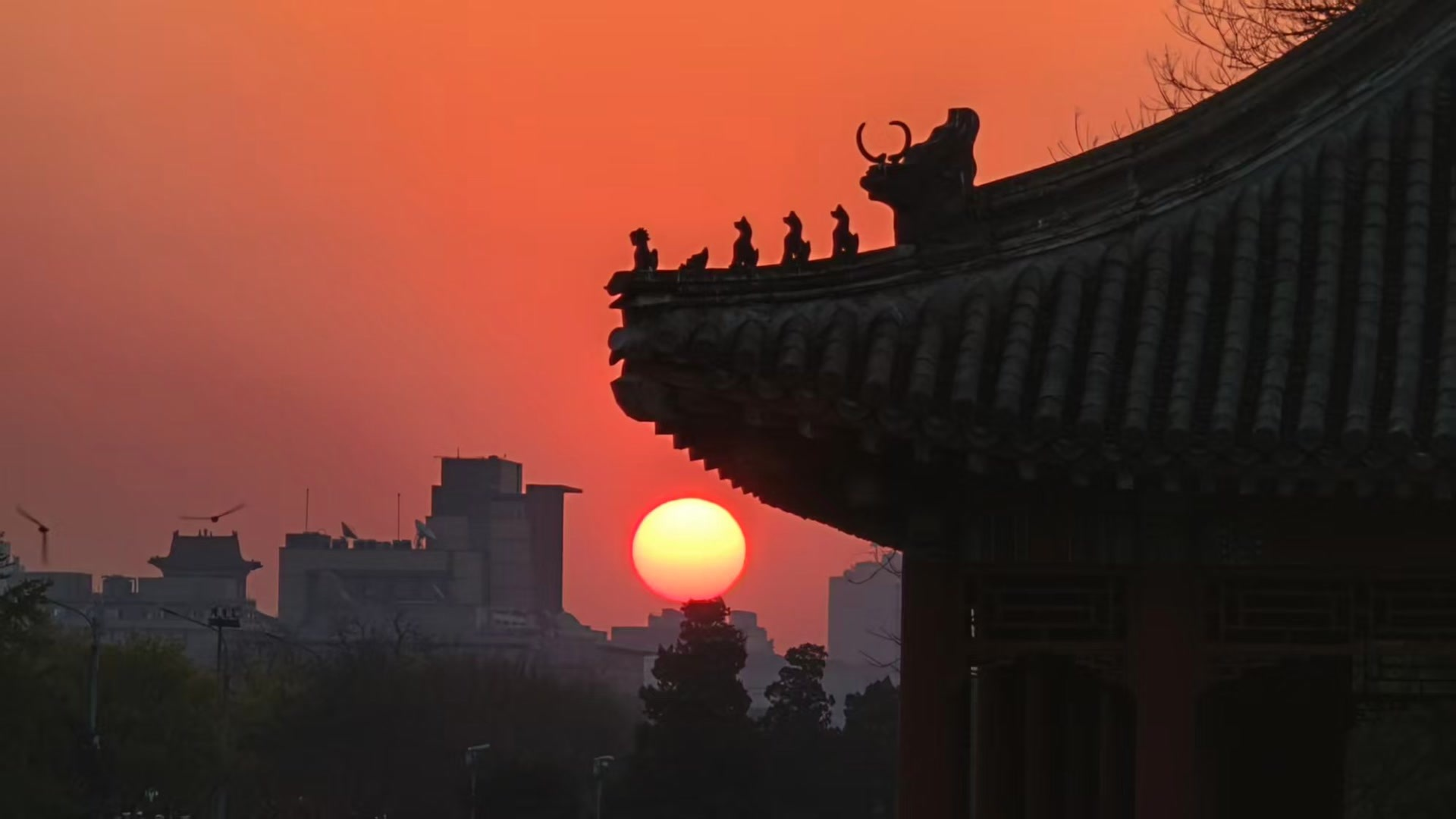 红日映春景,今晨京城的朝霞“画面感”太强 红日映春景,今晨京城的朝霞“画面感”太强