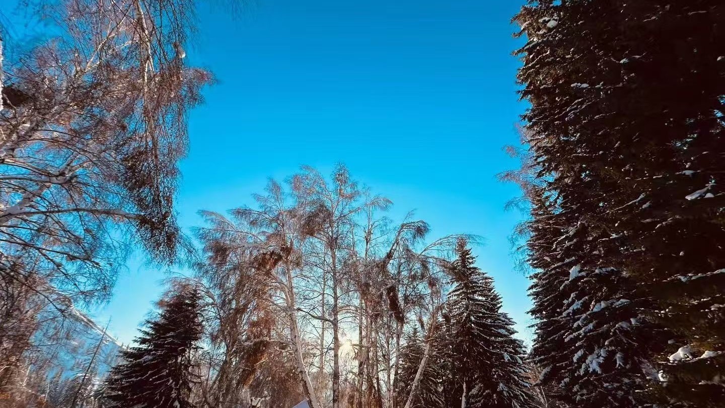 最高气温1℃ 晴冷持续 防寒保暖不松懈 最高气温1℃ 晴冷持续 防寒保暖不松懈