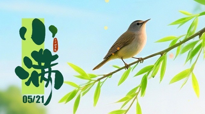 当AI遇上节气，「小满」哲思具象化了！