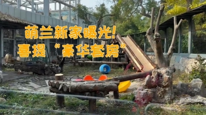 萌兰新家曝光！喜提“豪华套房”