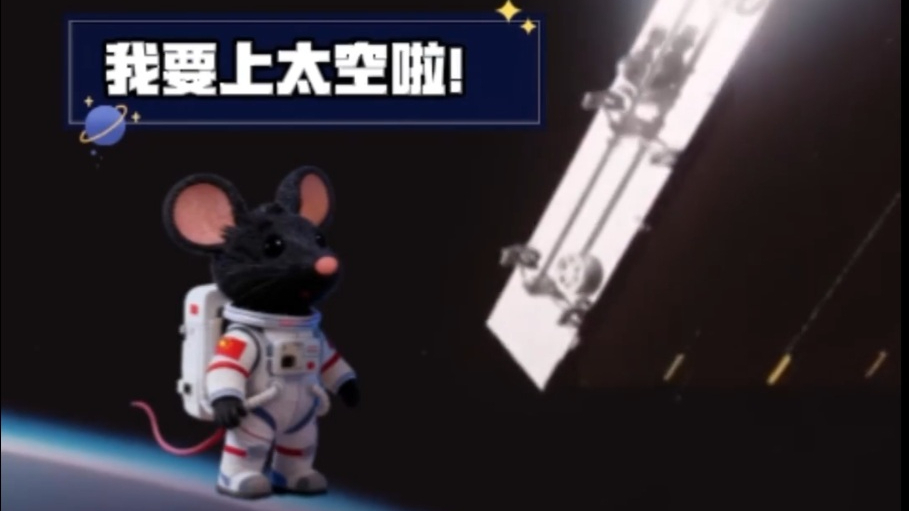 中国空间站首次迎来4位小鼠“航天员” 中国空间站首次迎来4位小鼠“航天员”