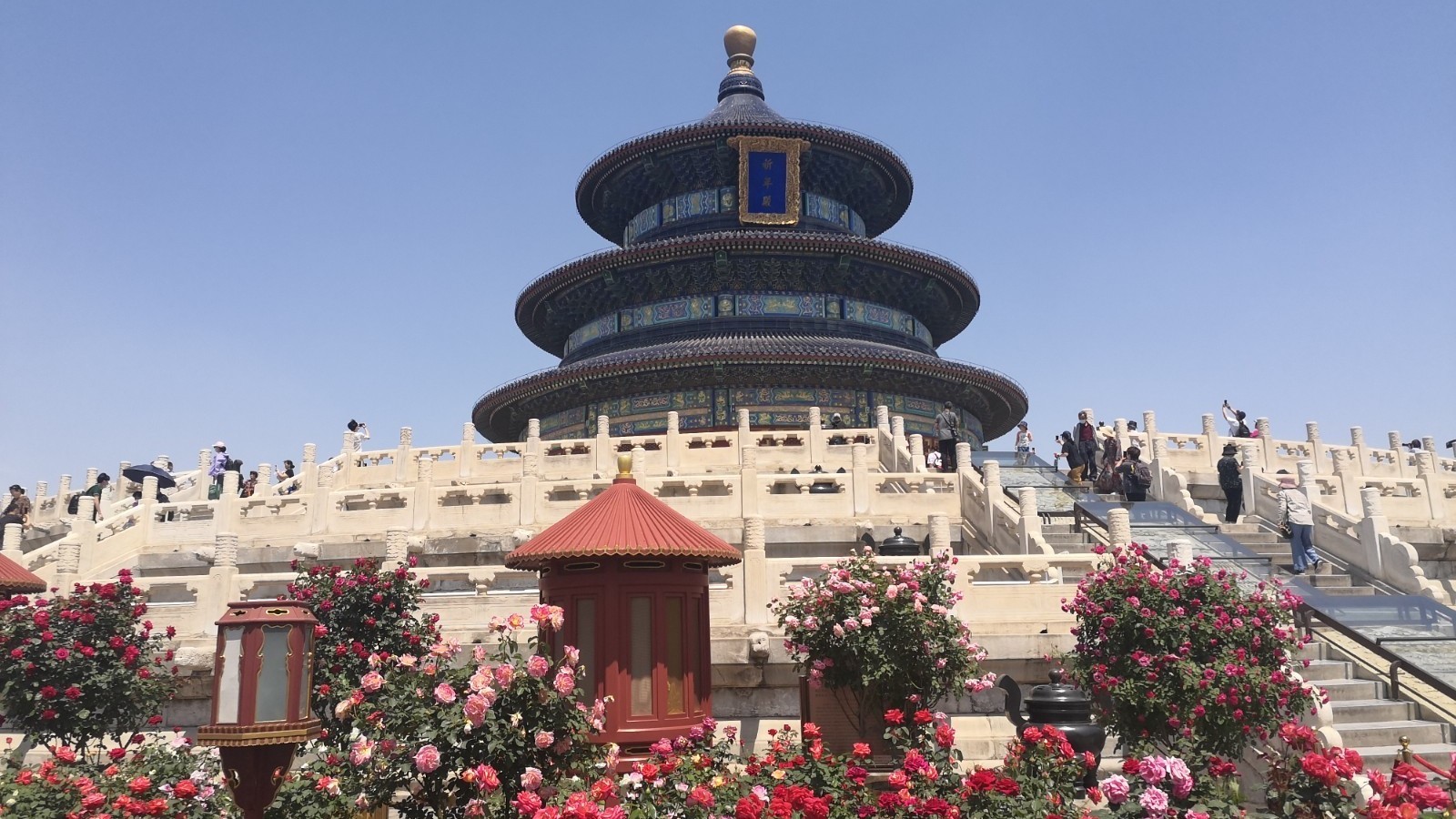 这个五一，来天坛赏北京的夏日盛景！