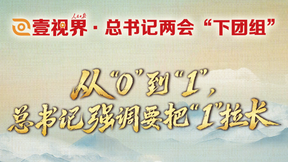 总书记两会“下团组”丨从“0”到“1”，总书记强调要把“1”拉长