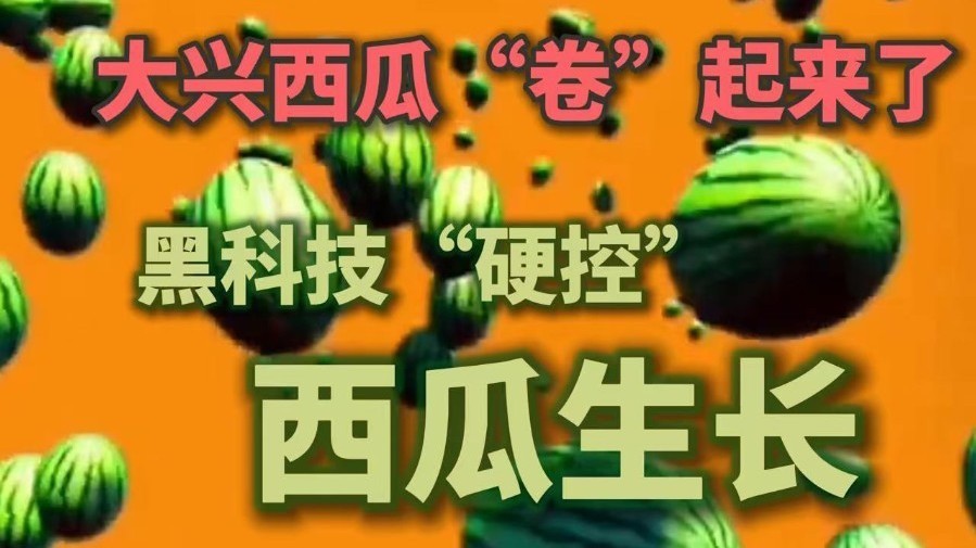 黑科技“硬控”西瓜生长