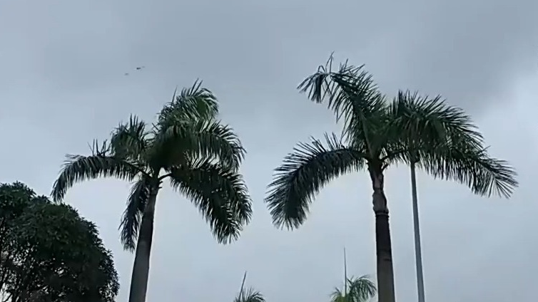 多个台风并存，如何互相影响？一文了解