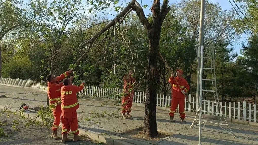 大风下的昌平,他们日夜在守护! 大风下的昌平,他们日夜在守护!