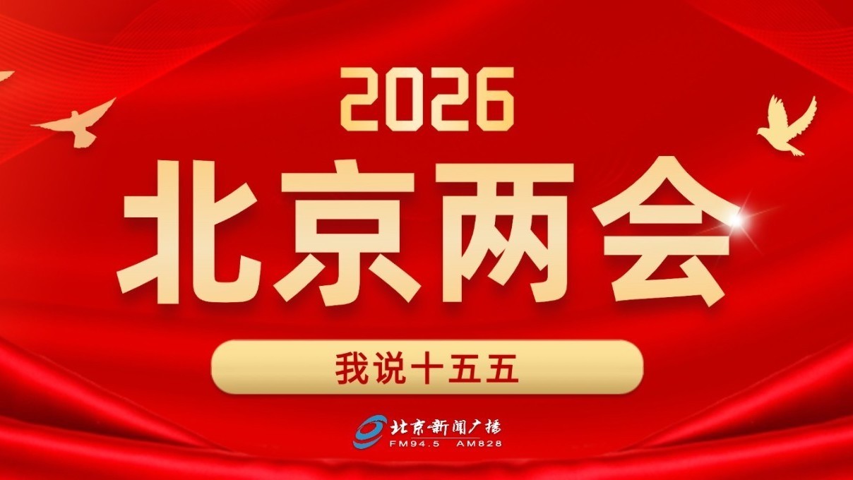 聚焦民生出行 共话交通治理 委员为市民“说走就走”建言献策