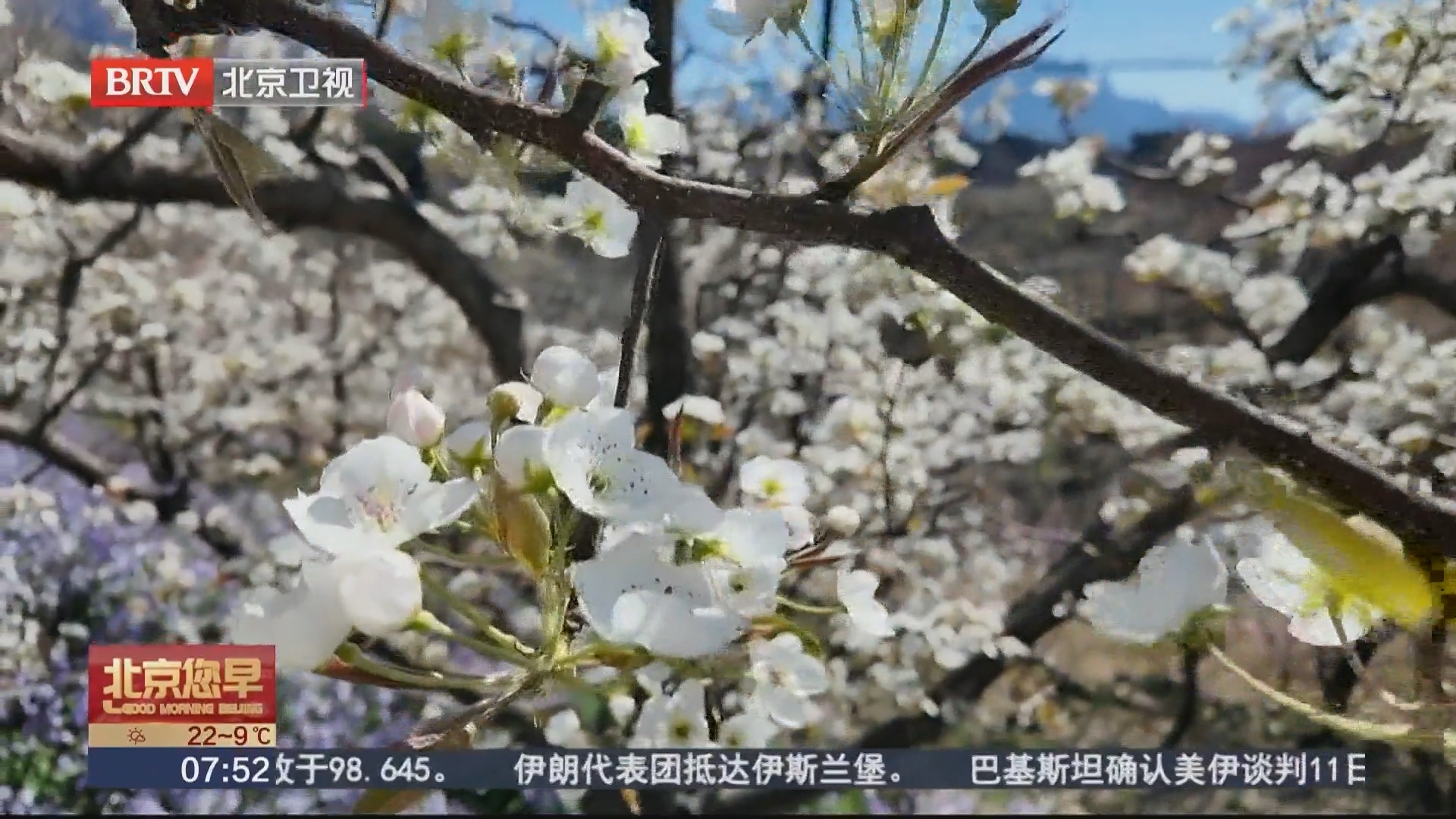 平谷镇罗营梨花谷雨休闲季启幕 湖畔耕读园多重福利宠客