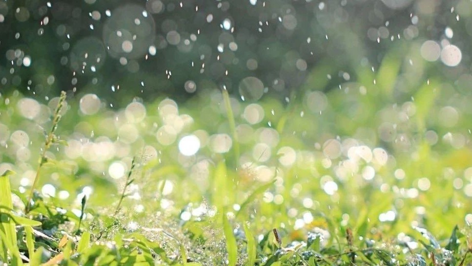雷电蓝色预警！顺义有分散性雷阵雨，局地短时雨强较大，请注意防范！