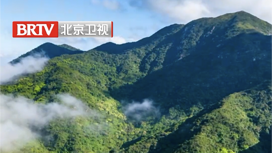 花岗岩层是如何给水加“滤镜”的? 花岗岩层是如何给水加“滤镜”的?