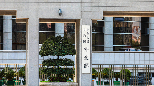 德国总统施泰因迈尔将访华