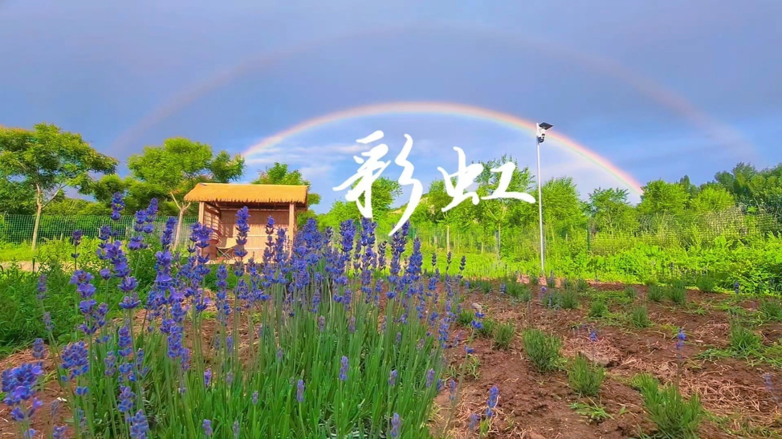 天空派送的限定浪漫，请查收！