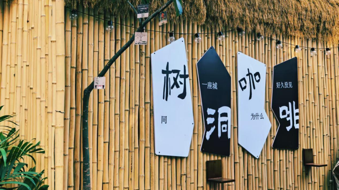 乐购房山 | 阎村树洞咖啡：藏在房山的治愈系秘境
