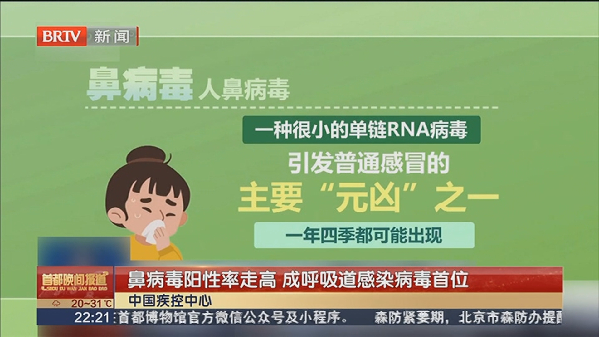 鼻病毒阳性率走高 成呼吸道感染病毒首位 鼻病毒阳性率走高 成呼吸道感染病毒首位