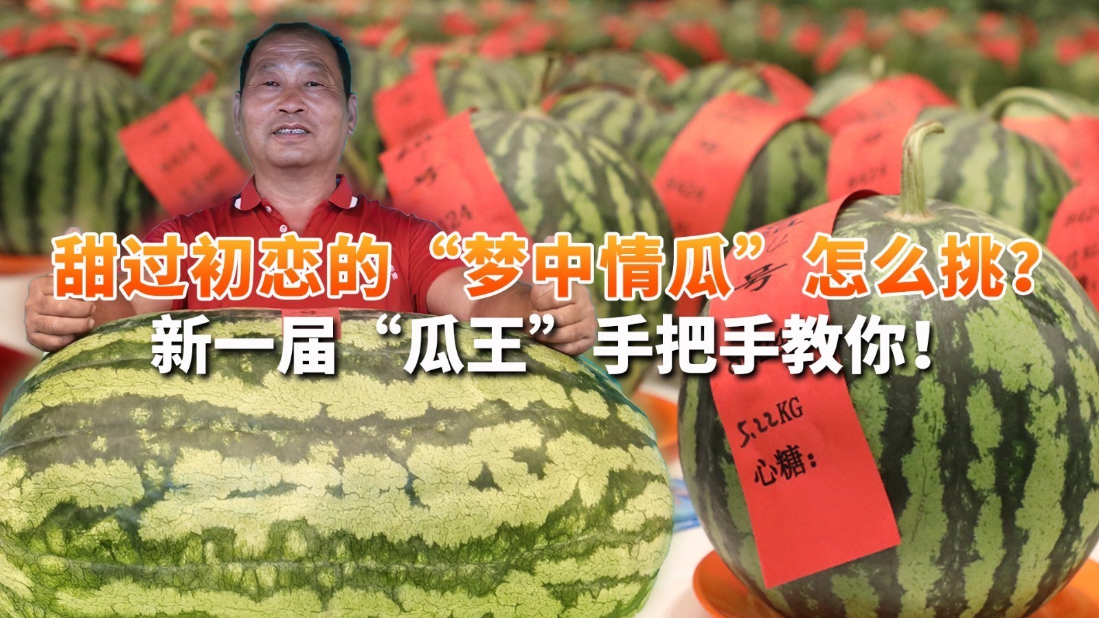 “梦中情瓜”怎么挑？新晋瓜王手把手教你！