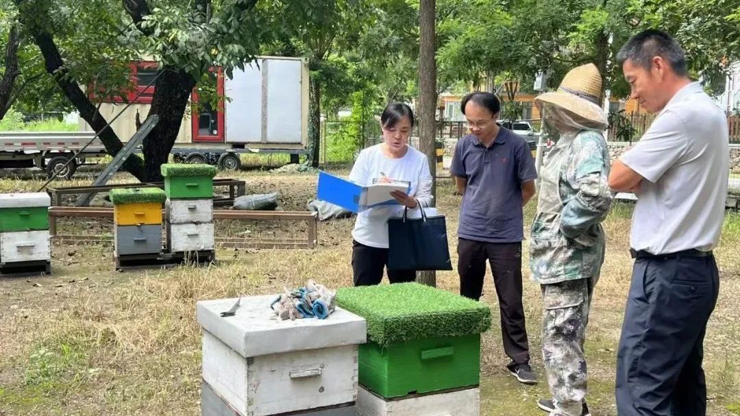 怀柔区园林绿化局及时评估汛后林地及林业产业受损情况 怀柔区园林绿化局及时评估汛后林地及林业产业受损情况