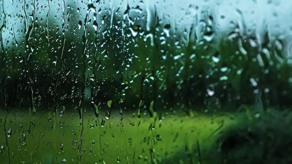 暴雨黄色预警！顺义局地24小时降雨量将超100毫米！主要时段→