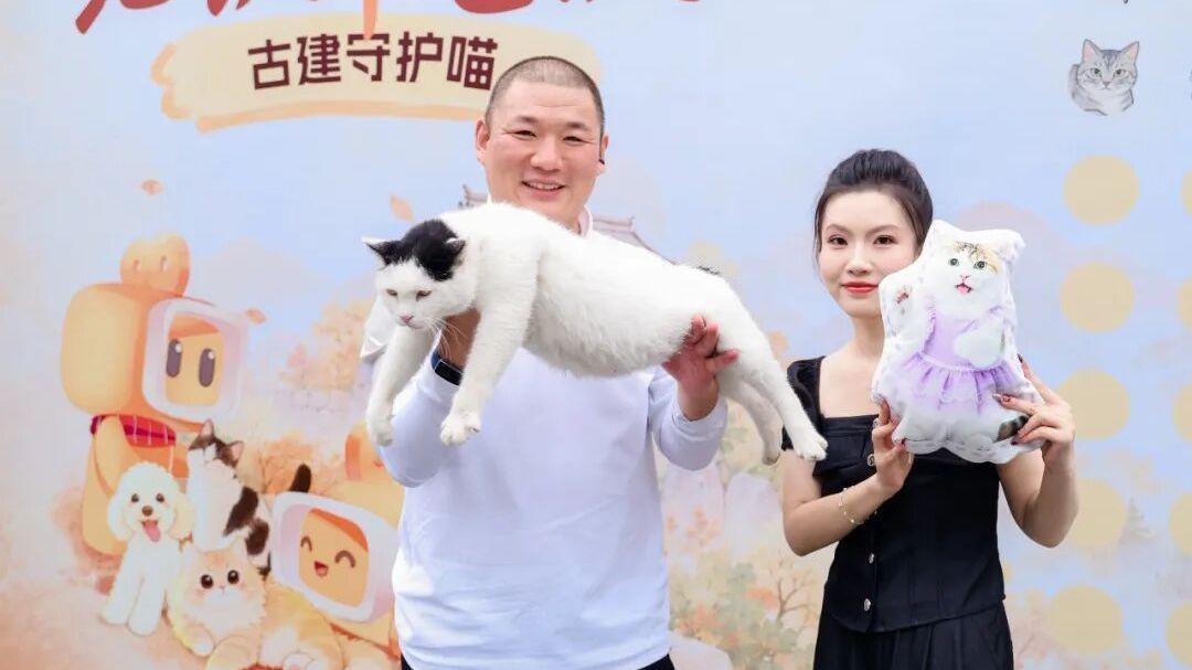 千年古刹迎来一群“守护喵”， 快手公益“老铁帮毛铁·古建守护喵”首站落地云居寺