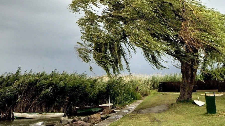 明日阵风7级、伴有扬沙，顺义发布大风预警，请注意防范
