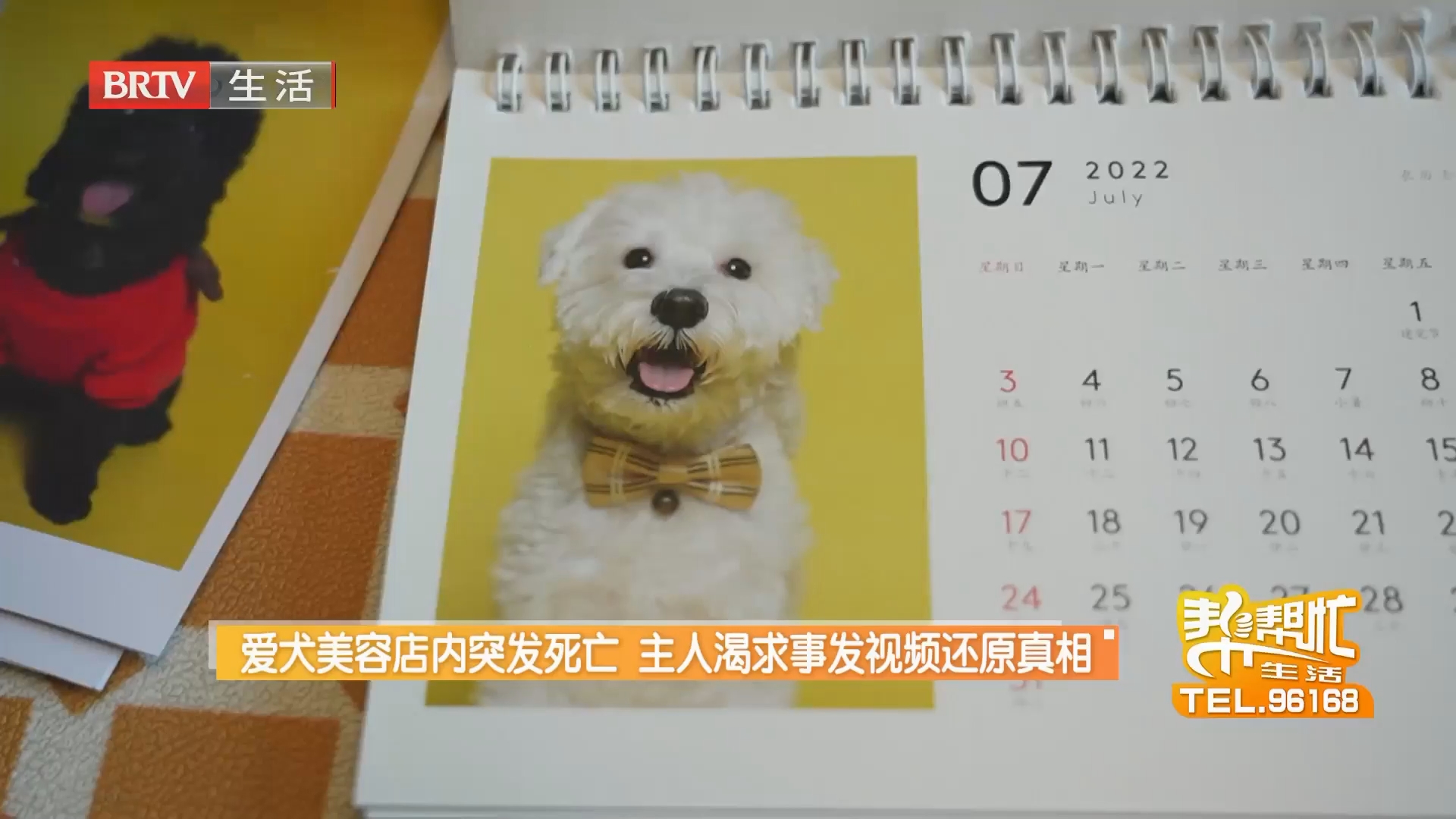 《生活帮帮忙》20260729
