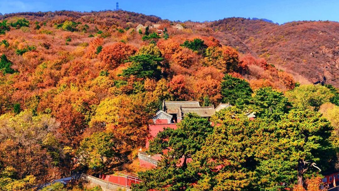 满屏美图！妙峰山这波秋景大片太顶了
