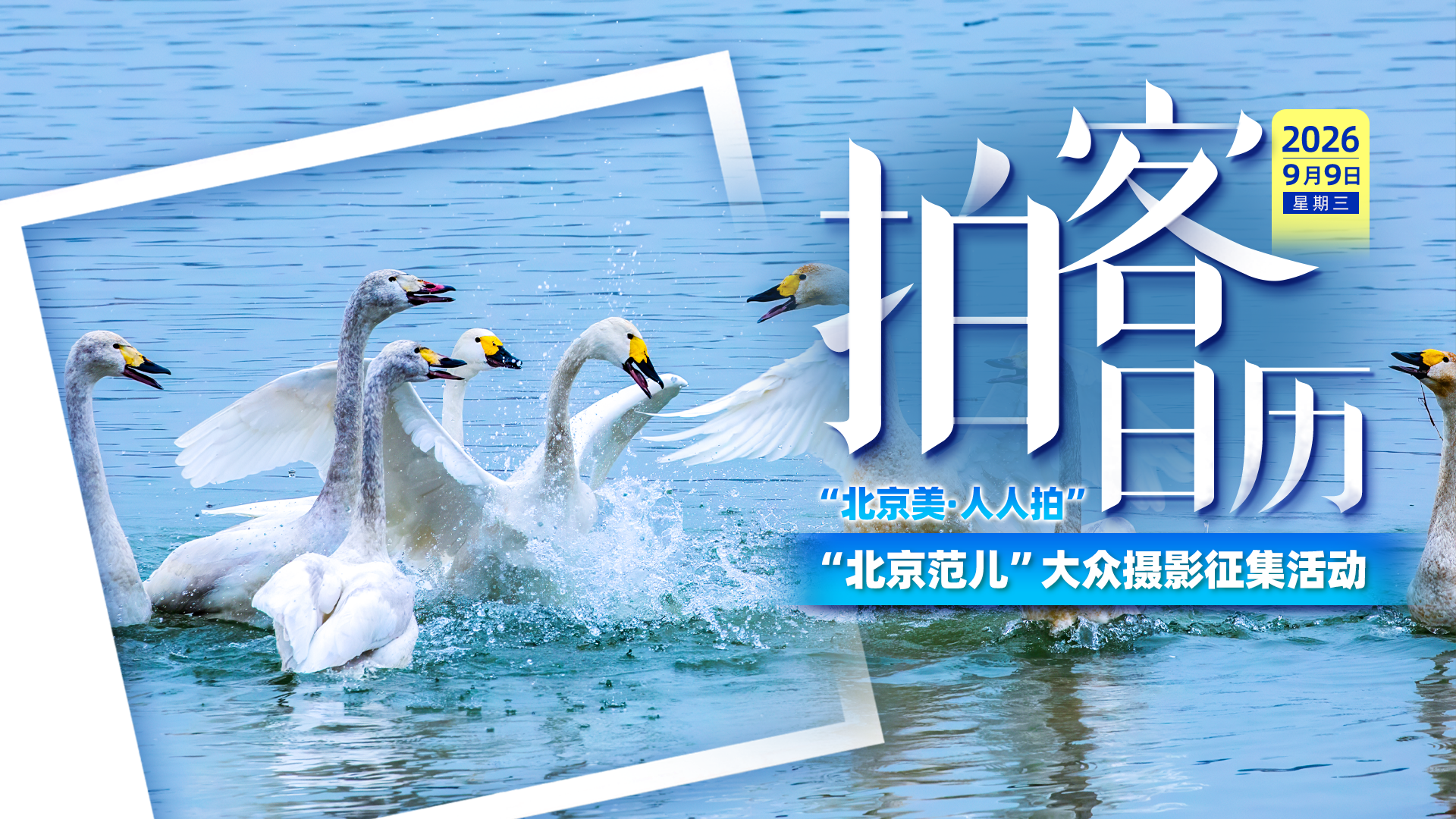 拍客日历|9月9日 捕捉京城秋日光影 拍客日历|9月9日 捕捉京城秋日光影