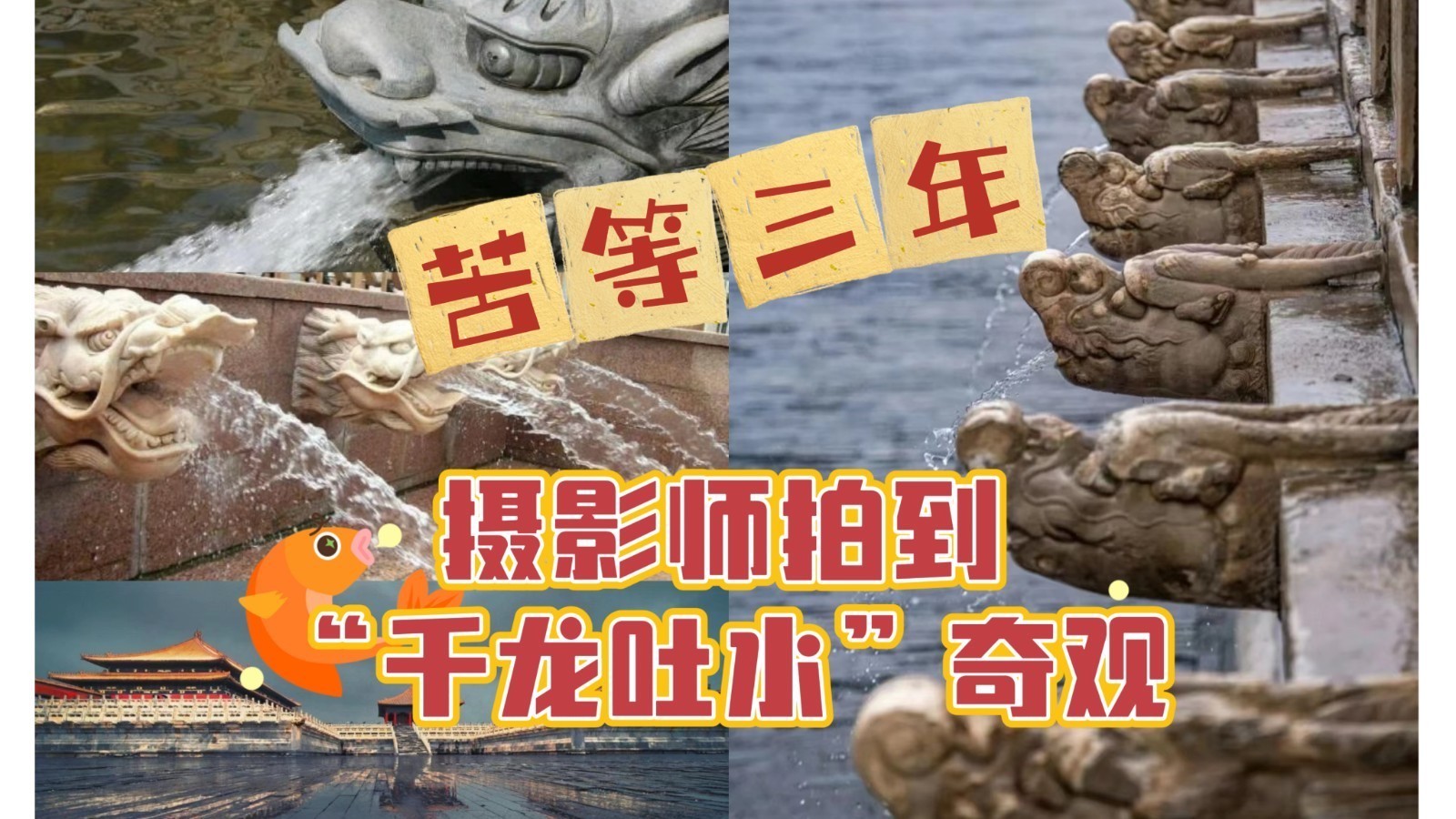 苦等三年!摄影师拍到故宫千龙吐水奇观! 苦等三年!摄影师拍到故宫千龙吐水奇观!