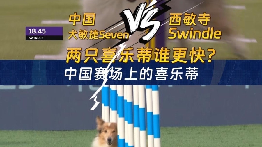 西敏寺Swindle VS 中国Seven 赛道王者之争 西敏寺Swindle VS 中国Seven 赛道王者之争