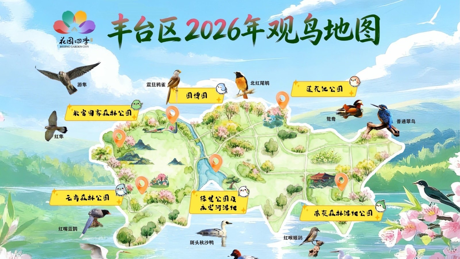 丰台区2026年观鸟地图出炉，请查收！