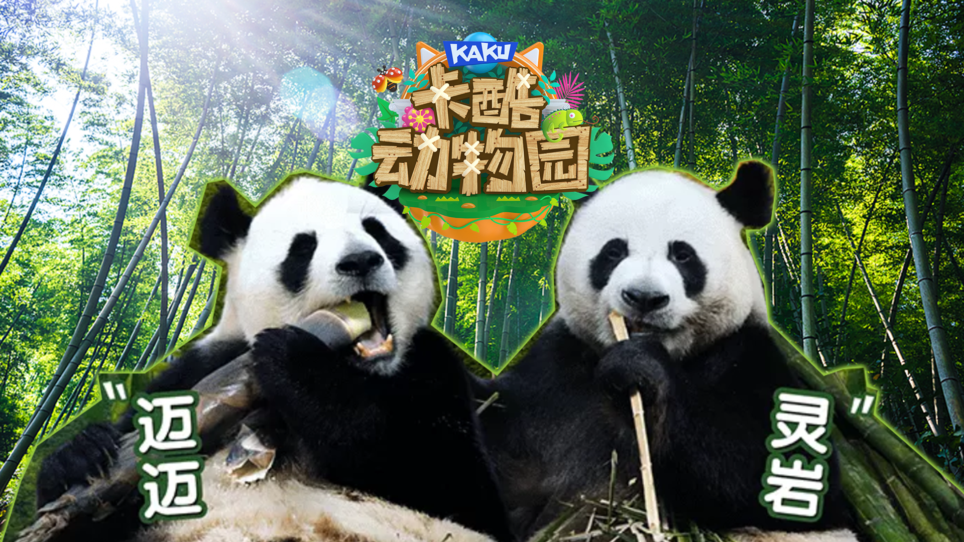 少儿户外动物直播《卡酷动物园》萌萌的迈迈和灵岩TA们来了！