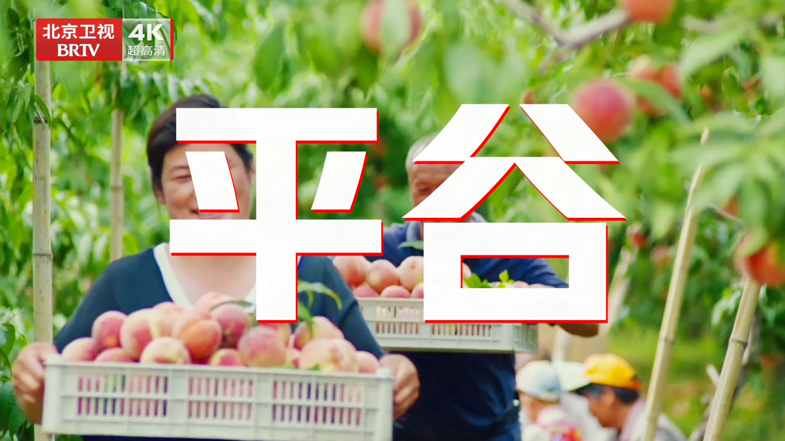 “乡约食光”京超开打！平谷味道已就位