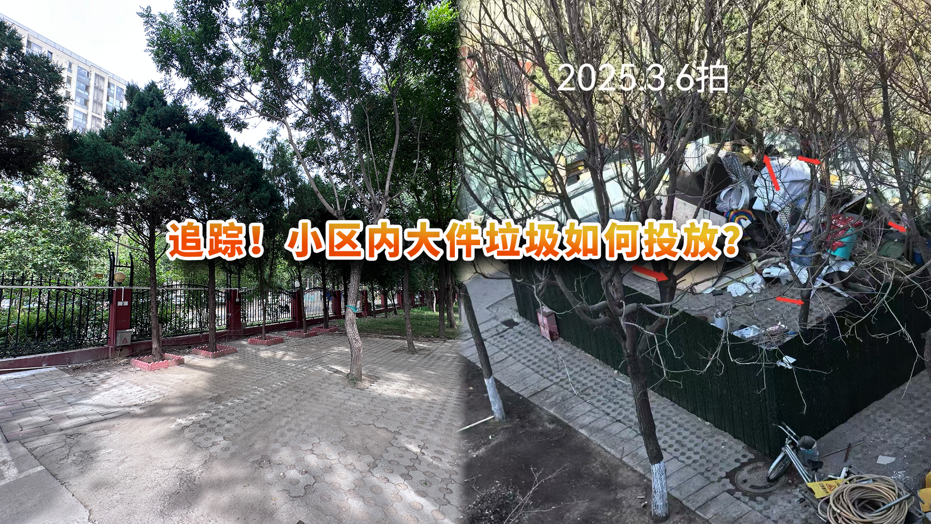 追踪！小区内大件垃圾如何投放？