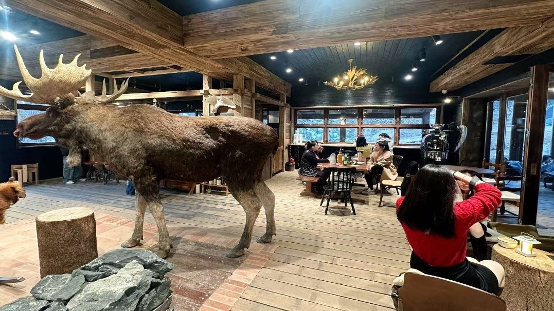 为求治愈不怕远,春日村咖成顶流 为求治愈不怕远,春日村咖成顶流