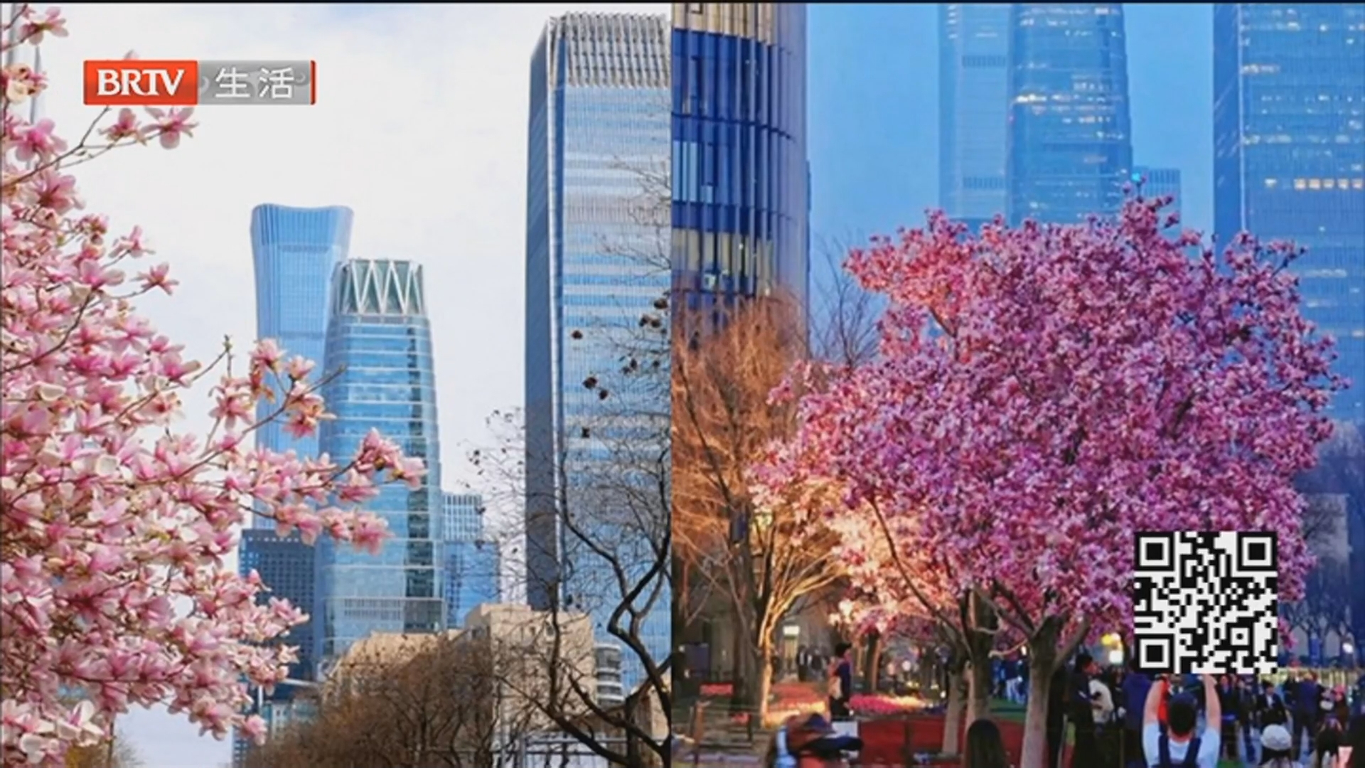 《生活这一刻》20260331