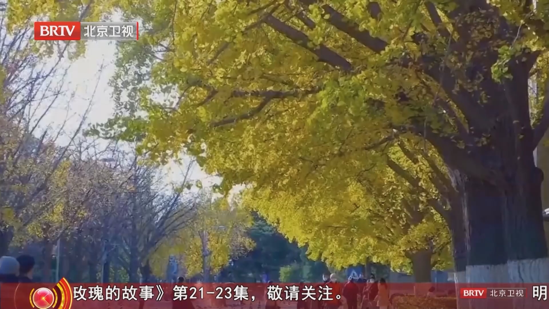 《档案》20251027百年求索 赤子之心 缅怀科学巨匠杨振宁