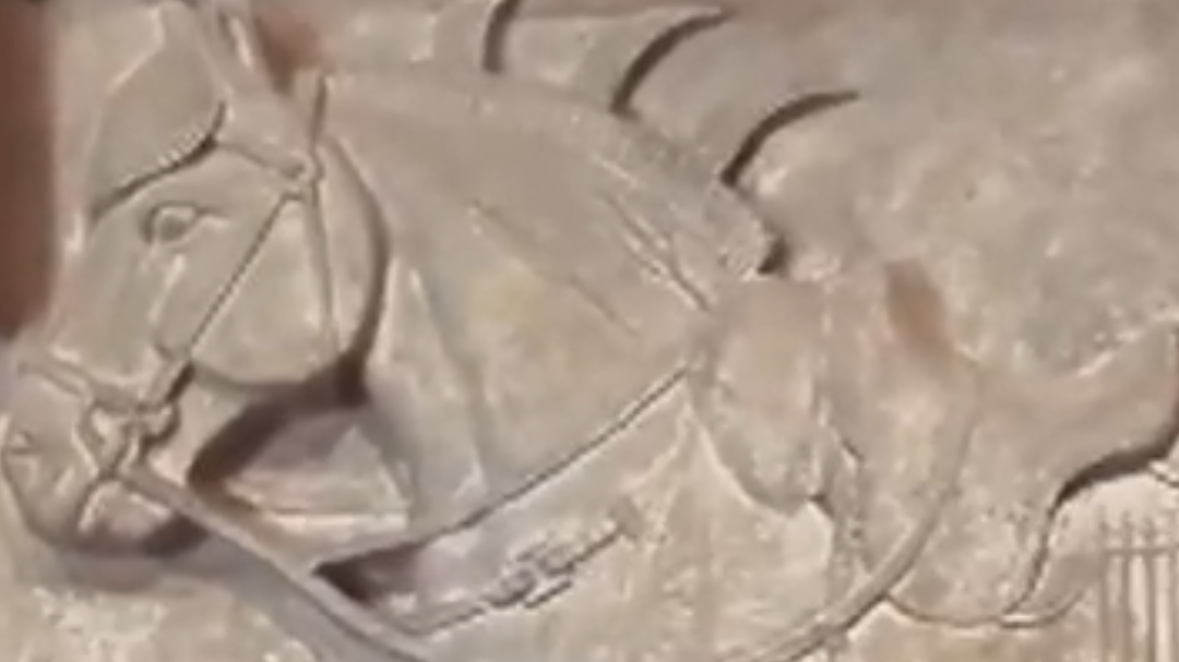 “人强马壮”原来是这个意思