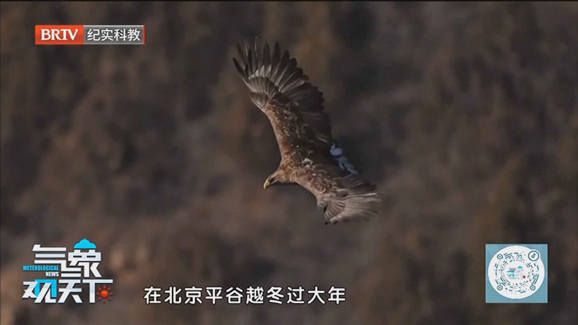 《气象观天下》20260311南方雨水充沛 北方气温反复横跳