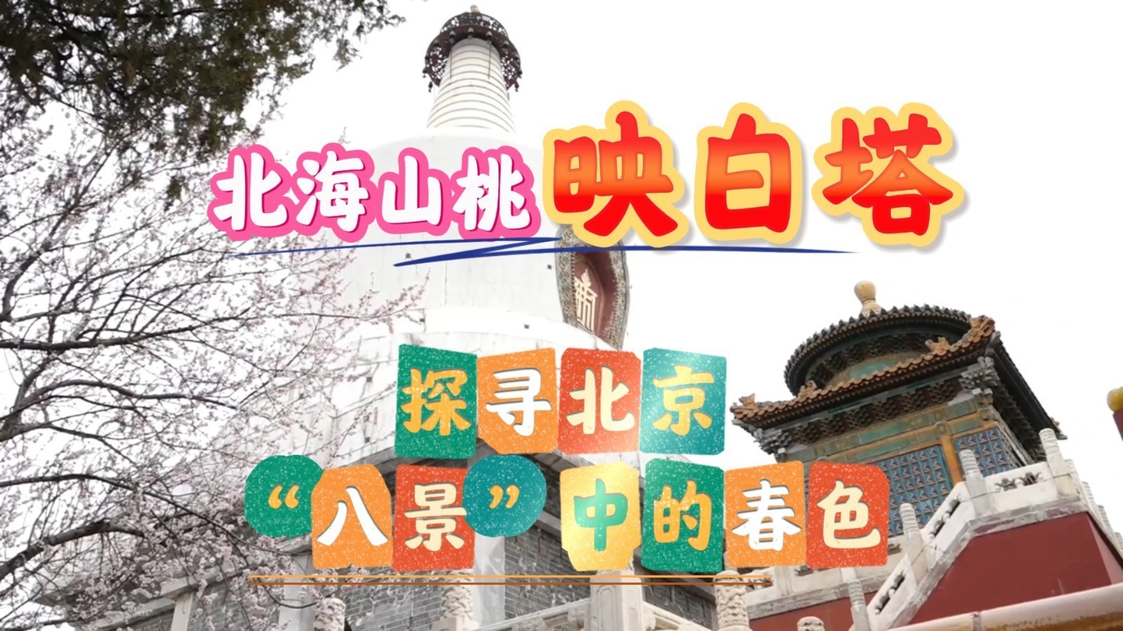 山桃映白塔 人醉花丛间!北海公园“琼岛春阴”初现 京城春色渐浓 山桃映白塔 人醉花丛间!北海公园“琼岛春阴”初现 京城春色渐浓