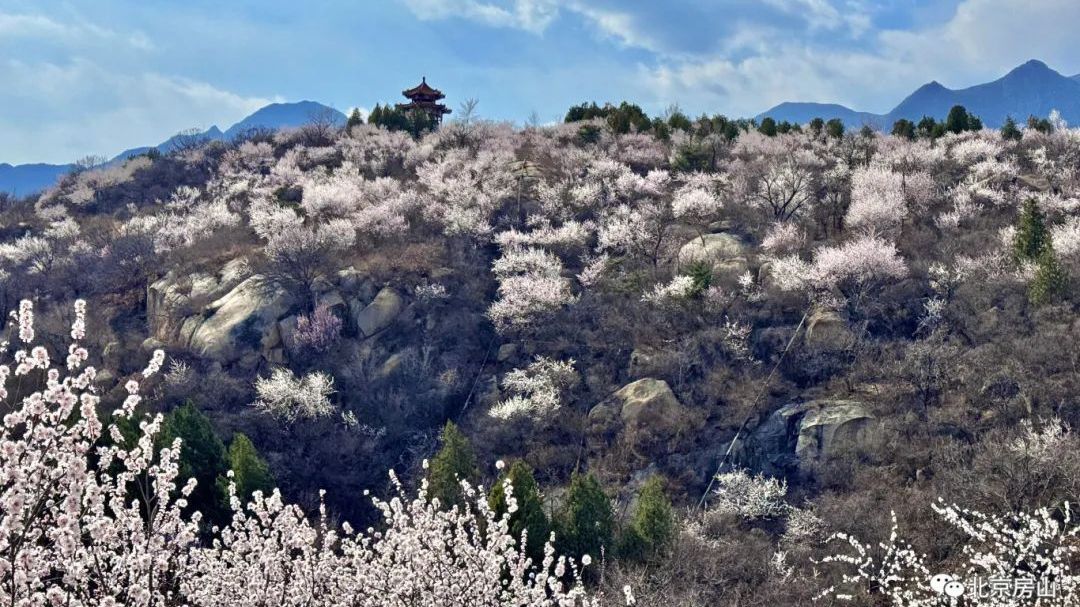 来房山,上春山!!! 来房山,上春山!!!